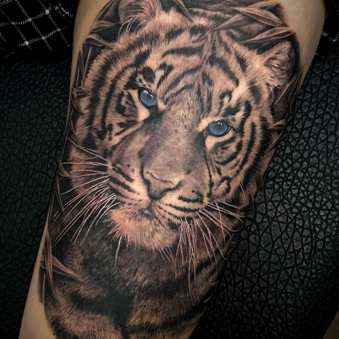 Realistic tiger tattoo on skin