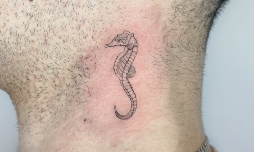 Detailed tattoo of a seahorse on skin