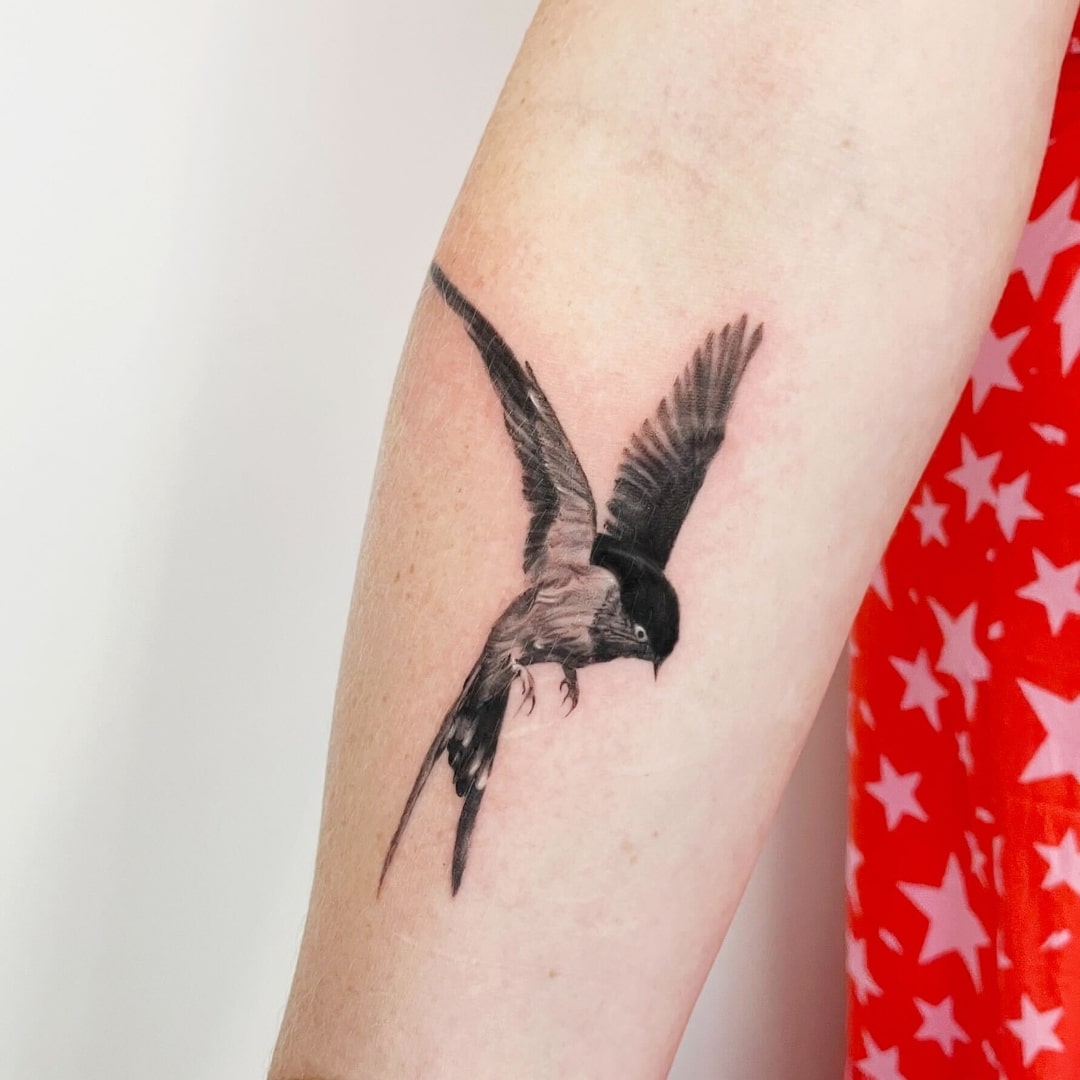 Black and gray tattoo of a bird on a person's arm
